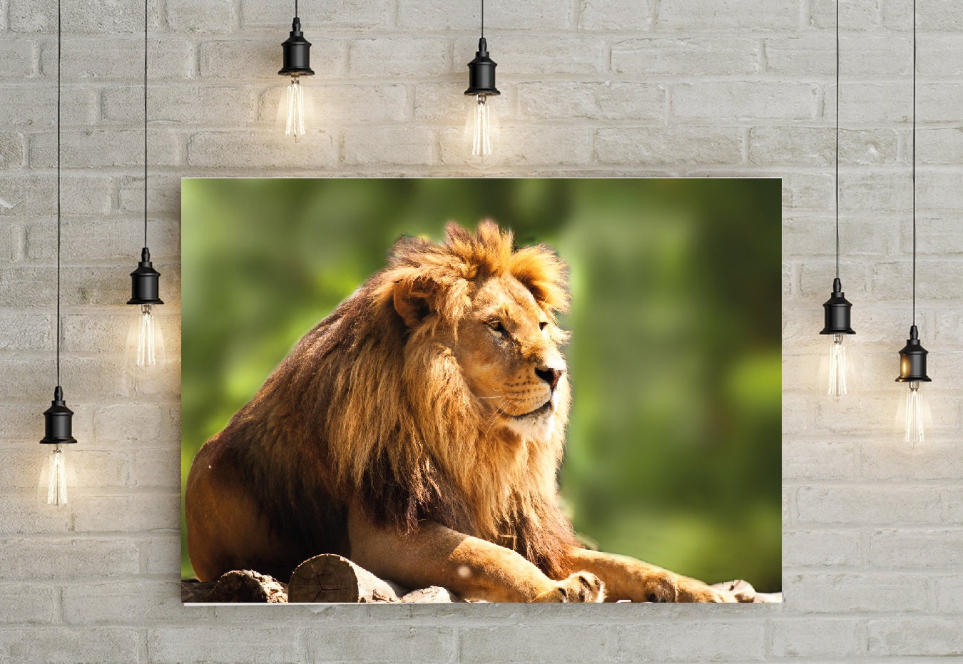 Lion Poster Print Wild Animal Big Cat Home Décor Eco Prints