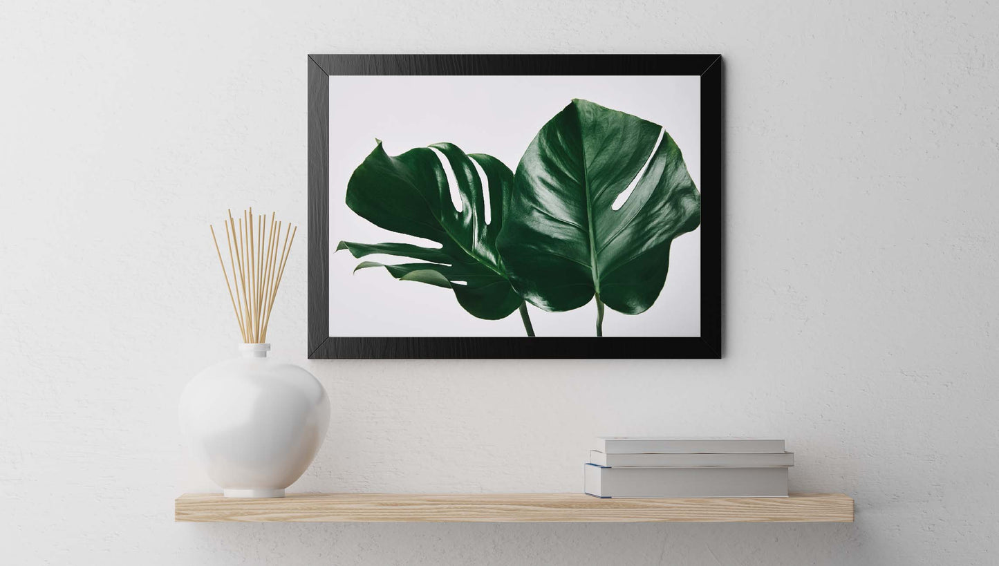 Monstera Leaves poster print home wall art decor monstera plant modern design