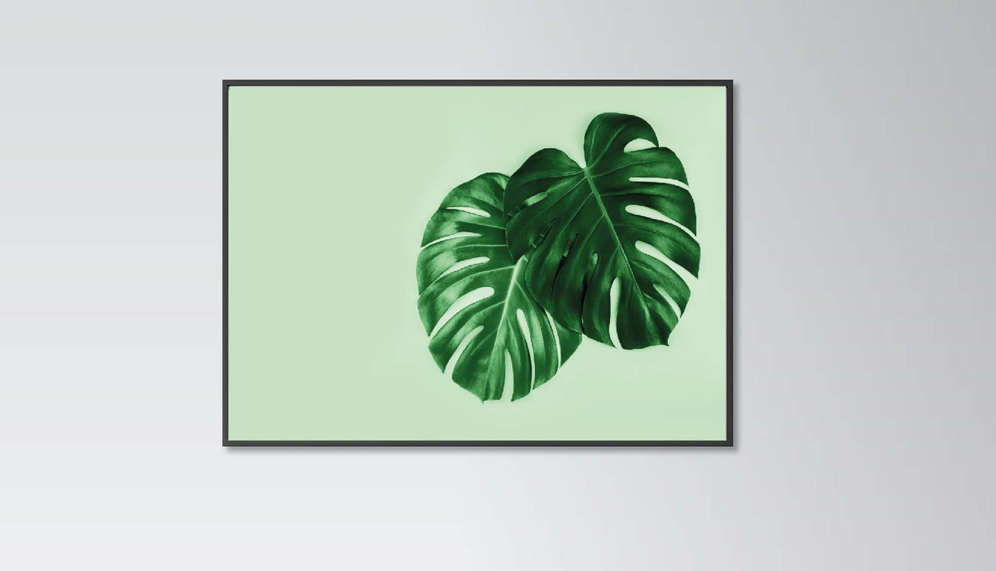 Monstera Leaves poster print home wall art decor monstera plant modern design