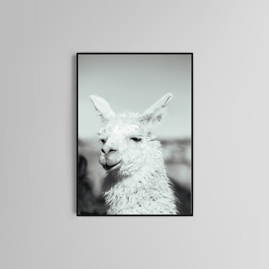 Lama poster print home wall art decor black and white modern poster