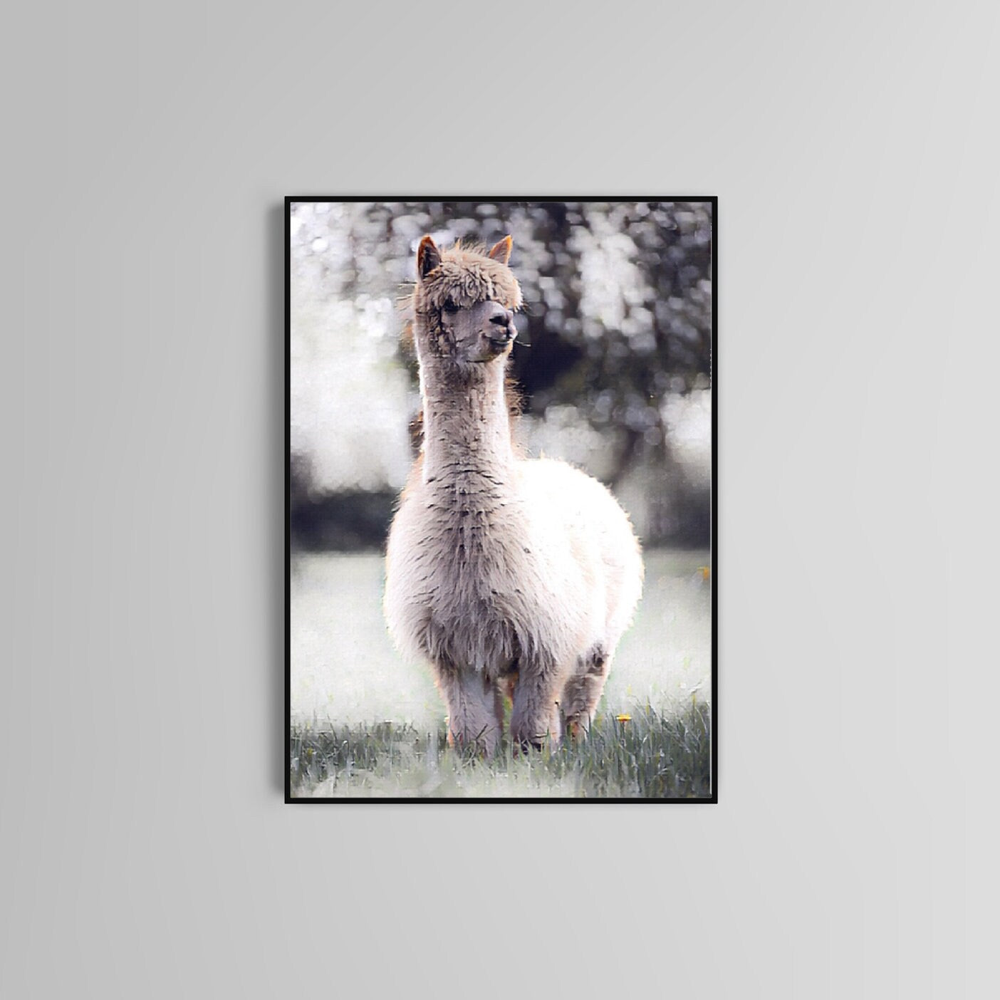 Lama watercolour poster print home wall art decor animal print