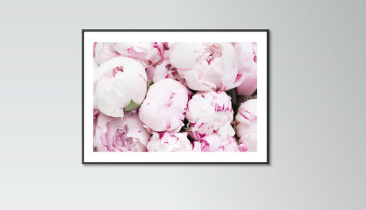 Peonies Flowers poster print home wall art decor modern flower colourful print