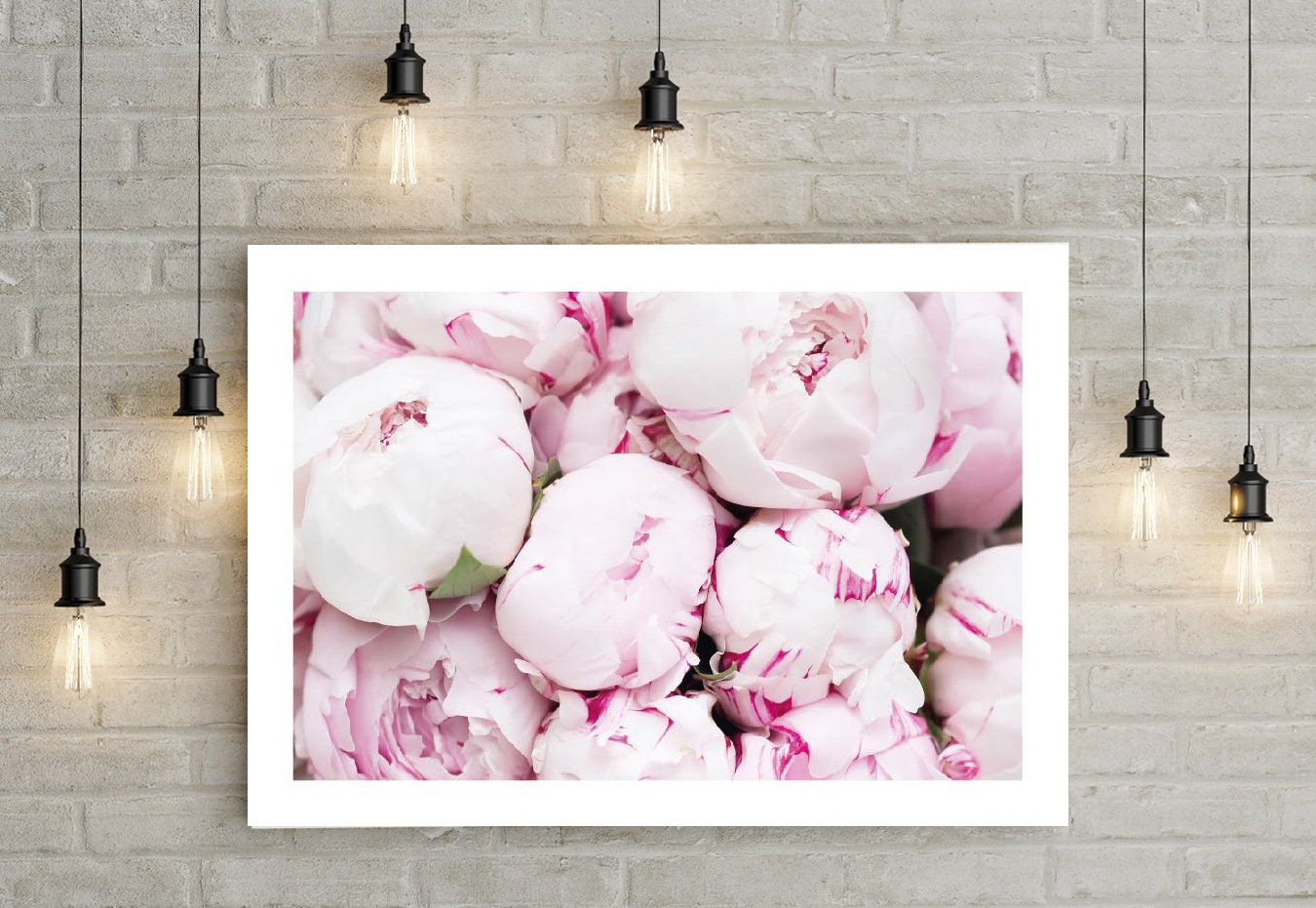 Peonies Flowers poster print home wall art decor modern flower colourful print