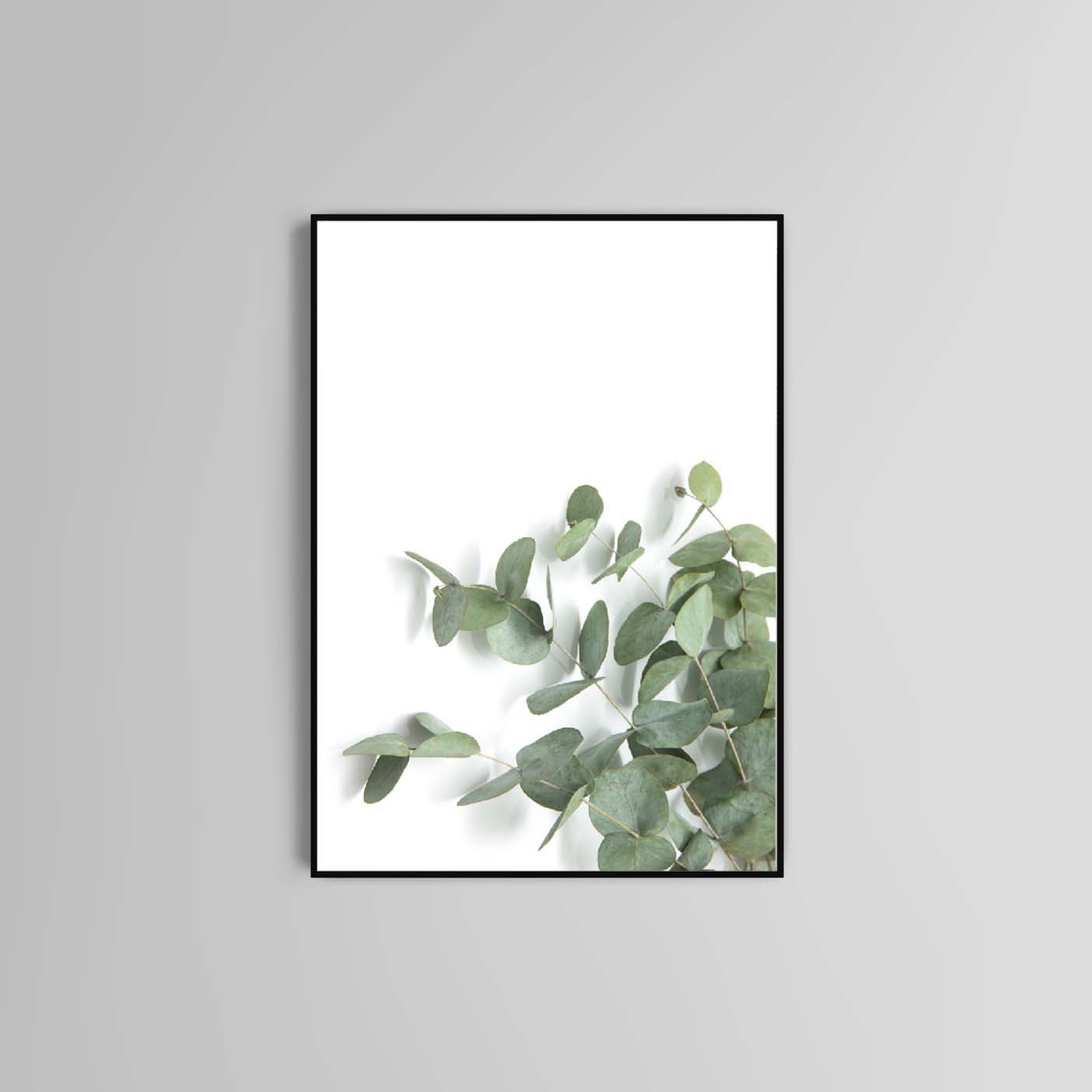 Eucalyptus poster print home wall art decor modern flower home accessories