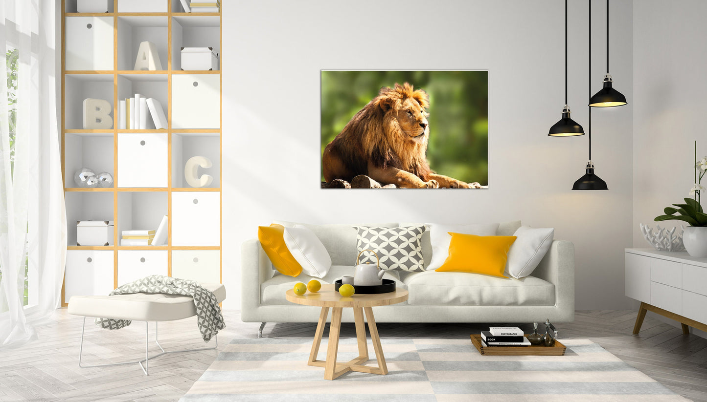 Lion  Poster Print Wild Animal Big Cat Home Décor Eco Prints