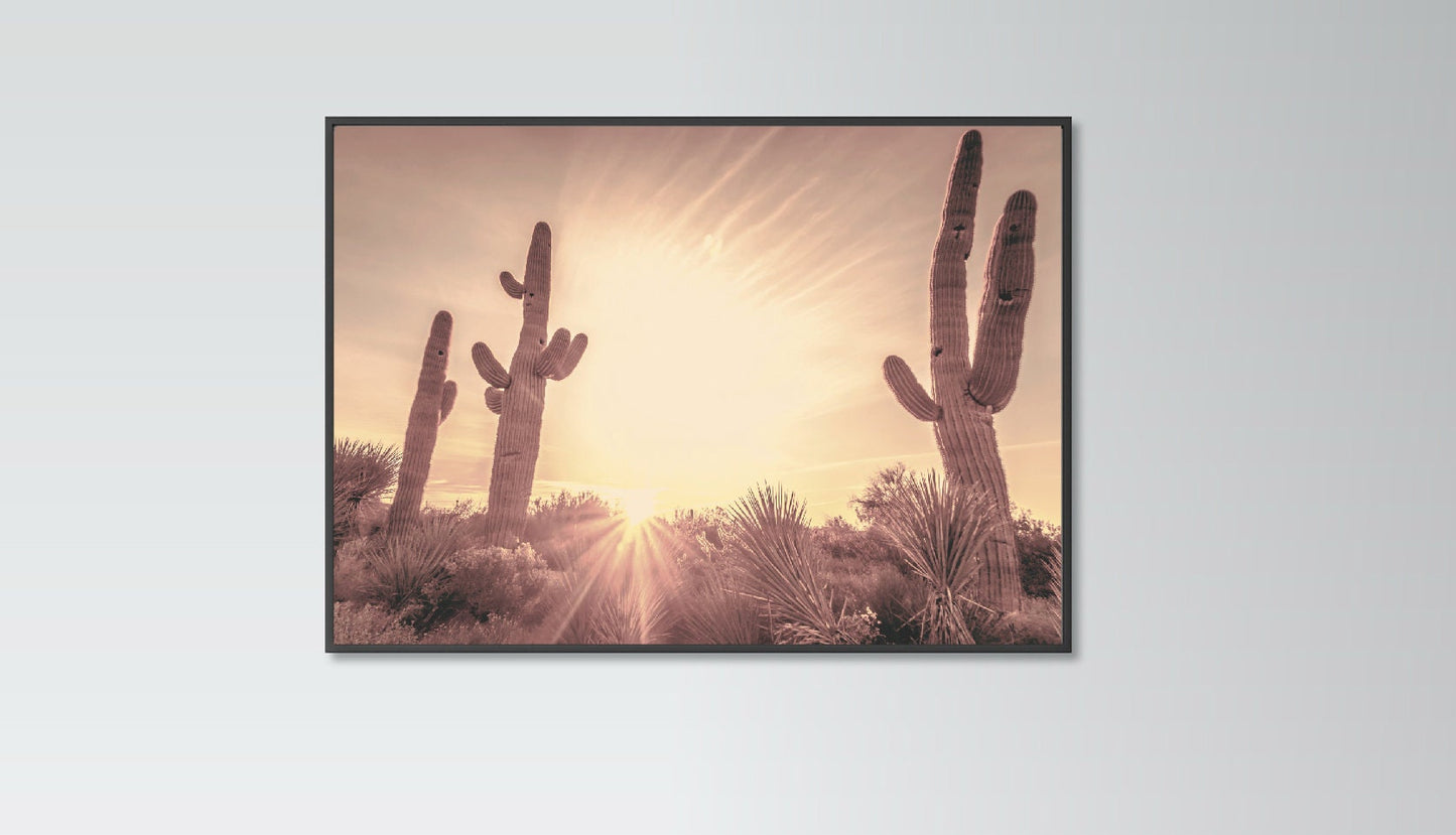 Cactuses on Desert poster print home wall art decor plants sunset modern design