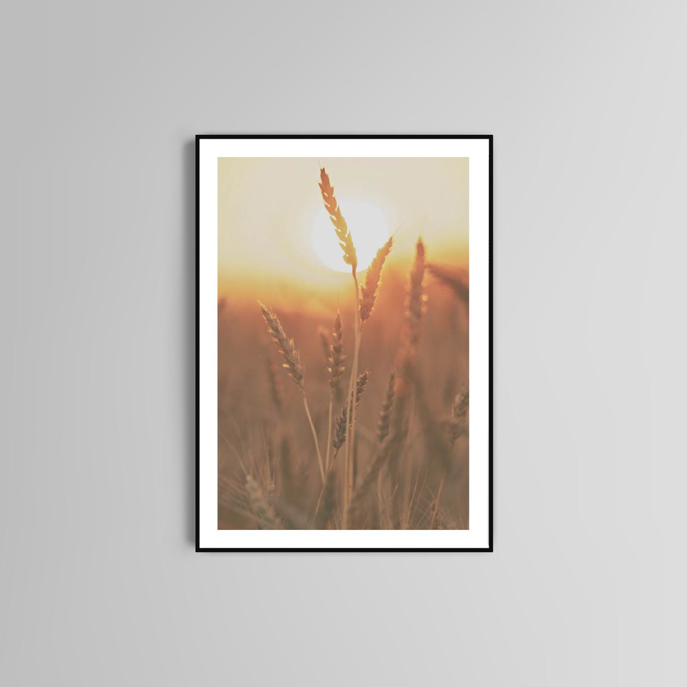 Wheat poster print home wall art decor elegant simple wheat in sun set design