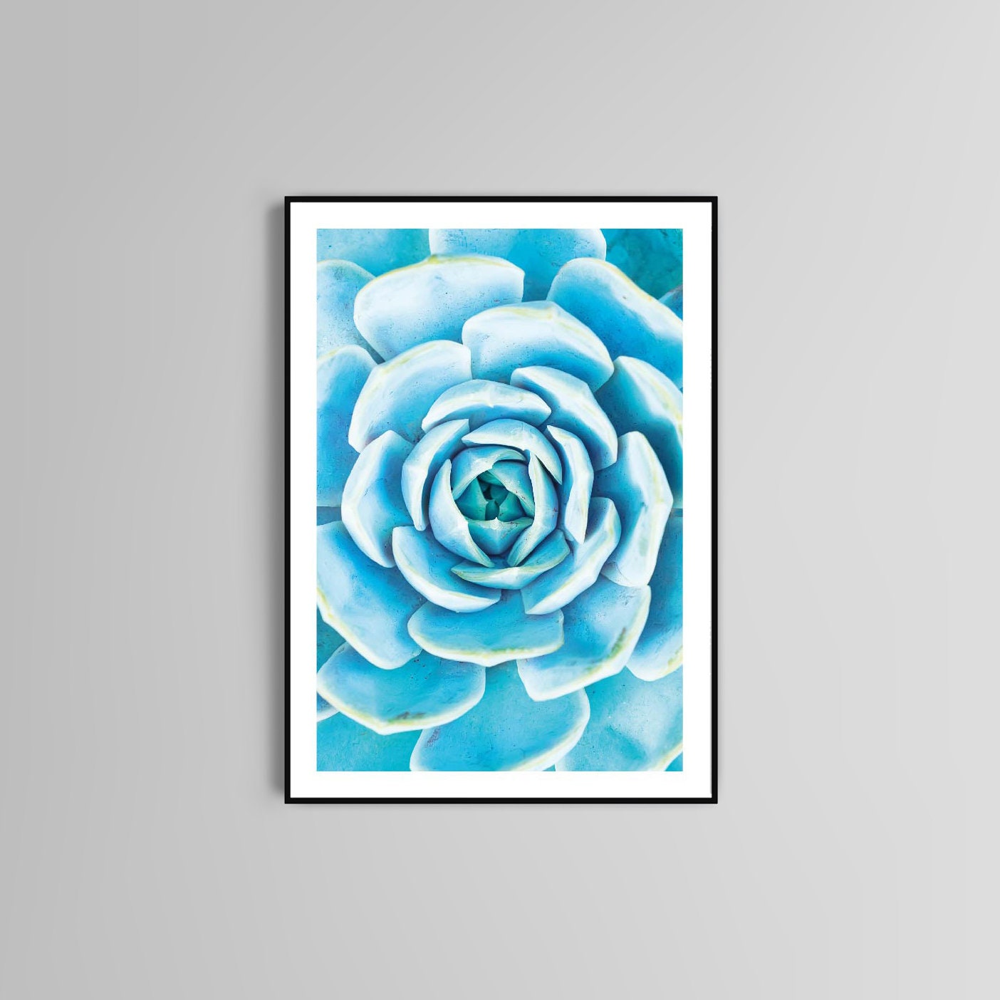 Flower poster print home wall art decor modern colourful design