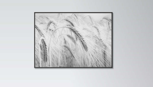 Wheat poster print black and white print home wall art decor modern poster print