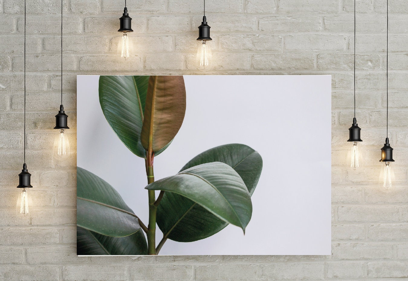 Banana Leaves Poster Print Home Decor Wall art Tropical Nature Botanical Eco Dorm Interior