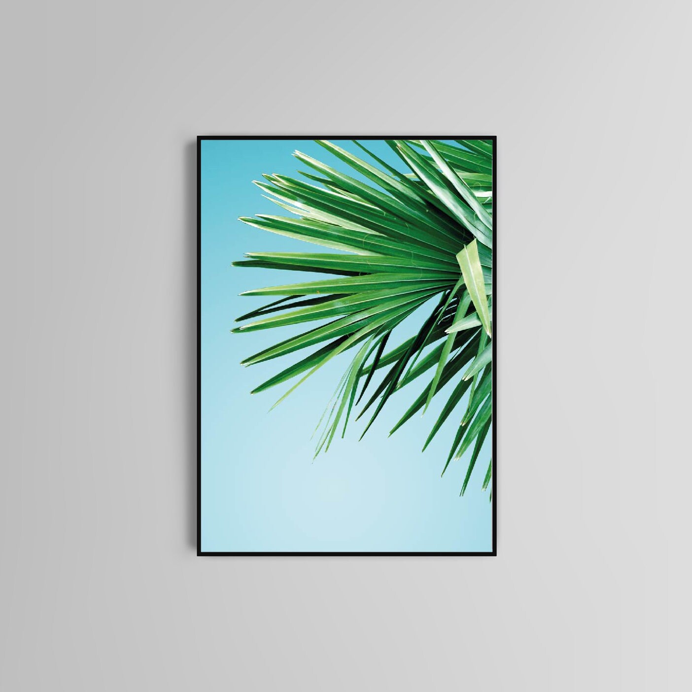 Palm Tropical Poster Print Blue Sky Home Décor Post Printing Home accessories Natural Botanical