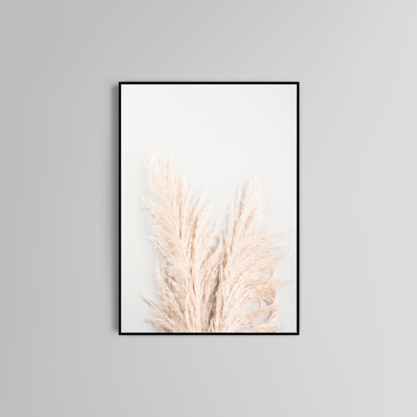 Pampas Grass poster print home wall art decor botanical modern poster