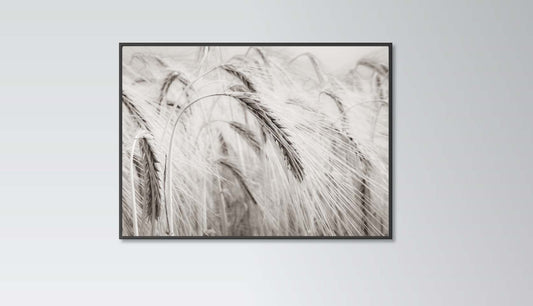 Sepia Wheat Print home wall art decor modern poster print home accessories