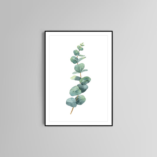 Eucalyptus poster print home wall art decor botanical watercolour