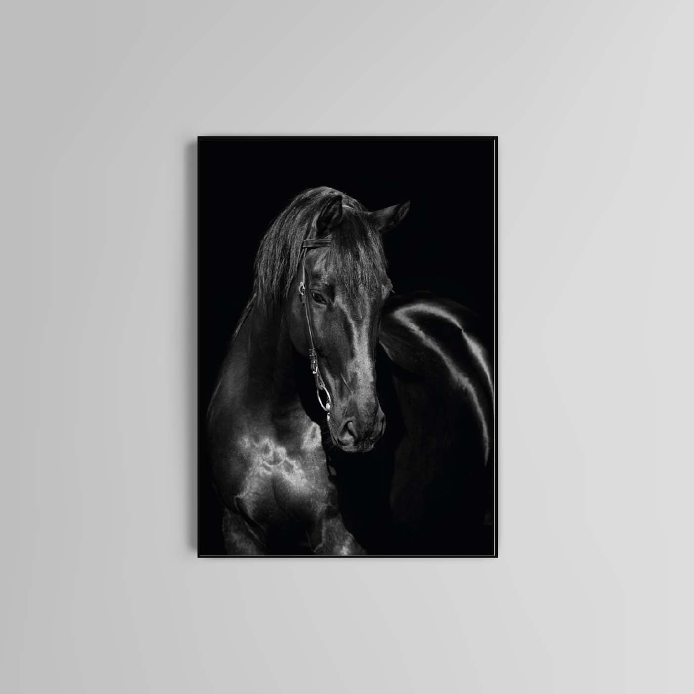 Black Horse poster print home wall art decor animal elegant modern print