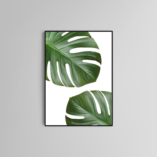 Monstera Leaves poster print home wall art decor monstera plant modern design