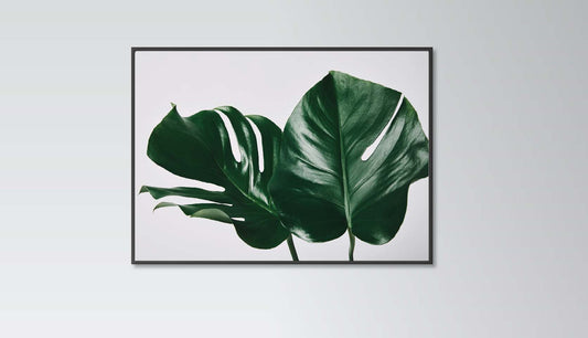 Monstera Leaves poster print home wall art decor monstera plant modern design