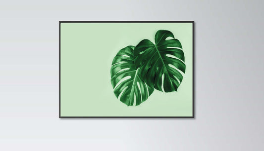 Monstera Leaves poster print home wall art decor monstera plant modern design