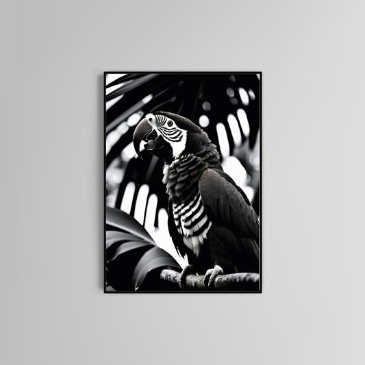 Parrot poster print home wall art decor modern parrot bird home decoration design