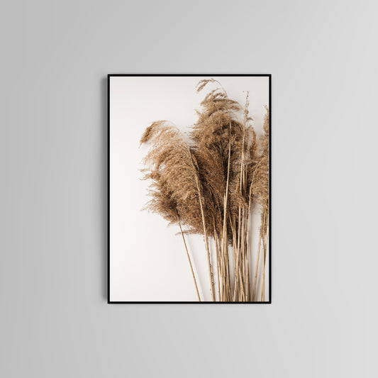 Pampas Grass poster print home wall art decor modern pampas grass elegant design