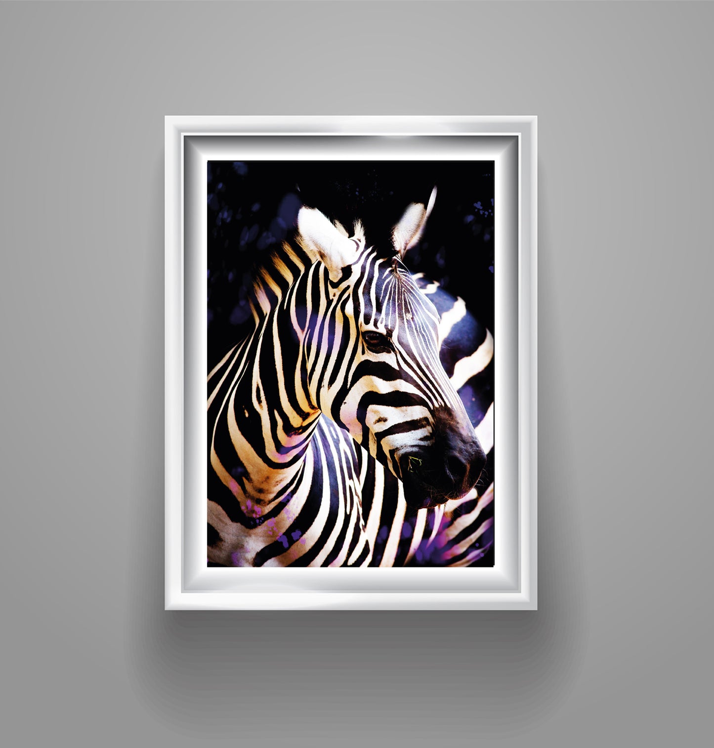 Zebra Poster Print animal print home decor wall art eco prints wild animal