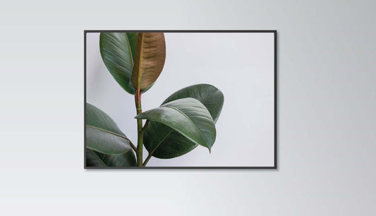 Banana Leaves Poster Print Home Decor Wall art Tropical Nature Botanical Eco Dorm Interior